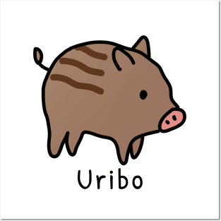 "Boar Piglet" in Japanese、Uribo Posters and Art